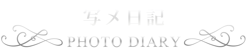 写メ日記